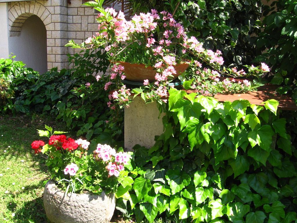 Guest House Caterina Porec Esterno foto